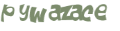 Wyzwanie captcha