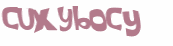 CAPTCHA 挑戰