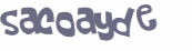 Captcha-Test