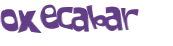 CAPTCHA 挑戰