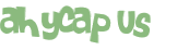 Desafio captcha