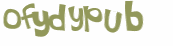 CAPTCHA 挑戰