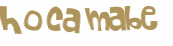CAPTCHA 挑戰