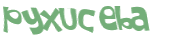 Wyzwanie captcha