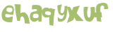 CAPTCHA 挑戰