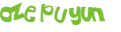 CAPTCHA 挑戰