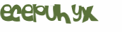 CAPTCHA 挑戰