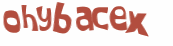 CAPTCHA 挑戰