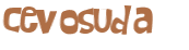 CAPTCHA 挑戰