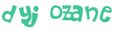 CAPTCHA 挑戰