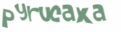 Captcha 챌린지