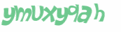 Captcha 챌린지