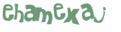 Captcha 챌린지