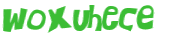 CAPTCHA 挑戰