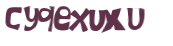 CAPTCHA 挑戰