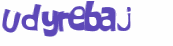 Wyzwanie captcha