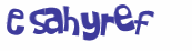 Prueba Captcha