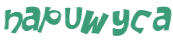 Desafio captcha