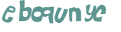 CAPTCHA 挑戰