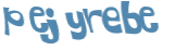 CAPTCHA 挑戰