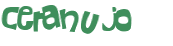 Проверка, что вы не робот