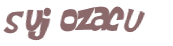 Captchafråga