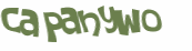 Captcha 챌린지