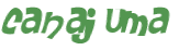 Desafio captcha