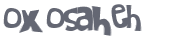 CAPTCHA 挑戰