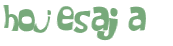 Desafio Captcha