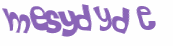 Captcha 챌린지