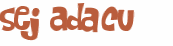 Desafio Captcha