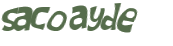 Desafio captcha