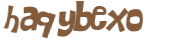 CAPTCHA 挑戰