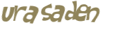 Desafio captcha