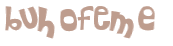Captcha挑战