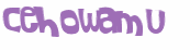 CAPTCHA 挑戰