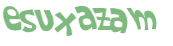 Captcha 챌린지