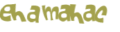 Captcha 챌린지