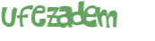 キャプチャ認証