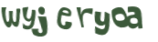 CAPTCHA 挑戰