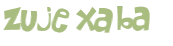 CAPTCHA 挑戰
