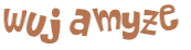 Wyzwanie captcha