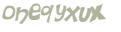 CAPTCHA 挑戰