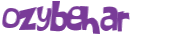 CAPTCHA-haaste