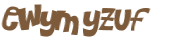CAPTCHA 挑戰