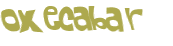 CAPTCHA 挑戰