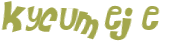 Wyzwanie captcha