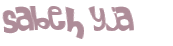 Prueba Captcha