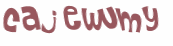 Captcha 챌린지